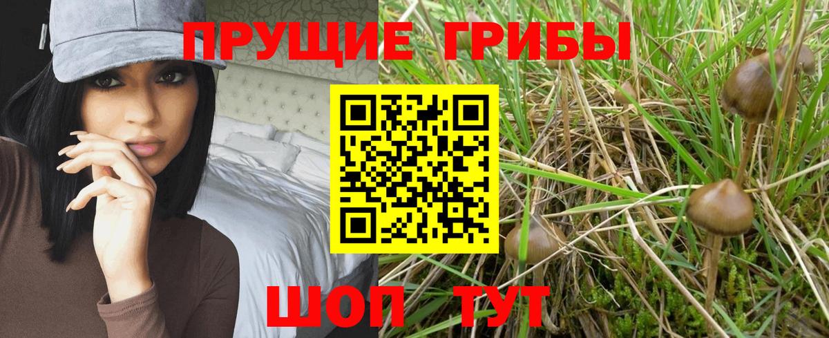 Псилоцибиновые грибы мухоморы Гулькевичи