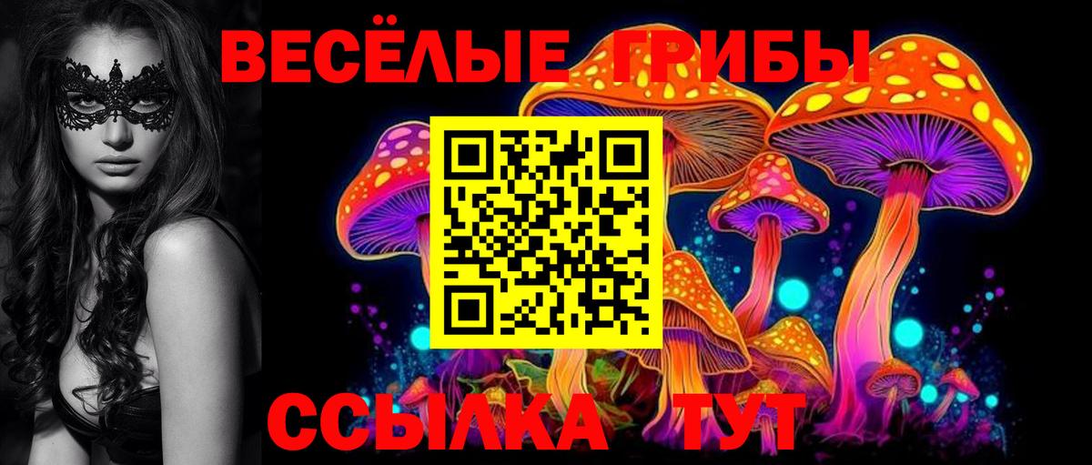 Галлюциногенные грибы Psilocybe  Вход с VPN  Псилоцибиновые грибы Magic Shrooms  Гулькевичи 